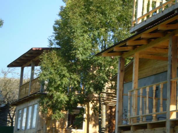 Продаётся два дома в Витебской области, д. Плино, фотография 3