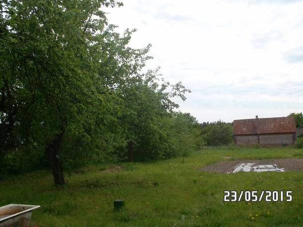 Дом у реки Свислочь, д.Озерище 26, фотография 5