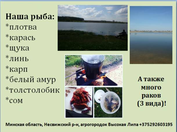 Озеро Высокая Липа, фотография 12