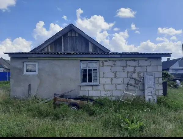 Дом, район, Могилёвская область, фотография 5