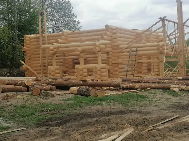 Срубы из рубленного  бревна под ключ, фотография 18