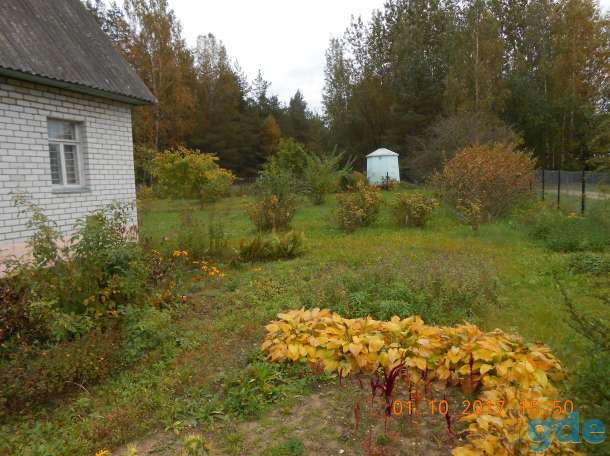 Продажа дома, д. Кучки, фотография 3