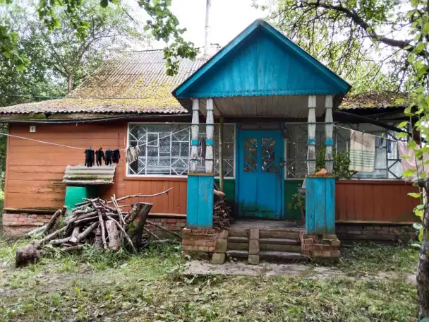 Продажа дома д.Ходосы, фотография 2