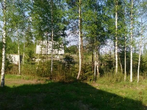 дача с хорошим участком Малые гаяны, фотография 6