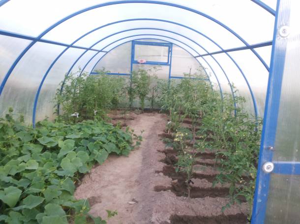 Дачу продам, Домашаны, фотография 7
