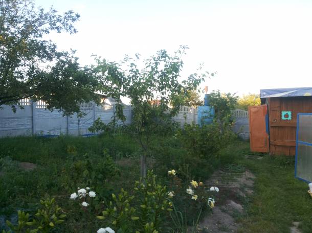 Дачу продам, Домашаны, фотография 9
