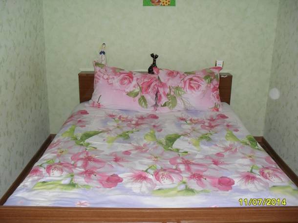 Сдаю в наем посуточно 1,2,3,ком квартиры, Брестская, фотография 5