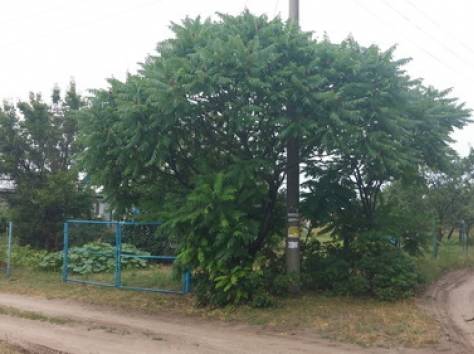 Дача в 2км от Бреста, фотография 1