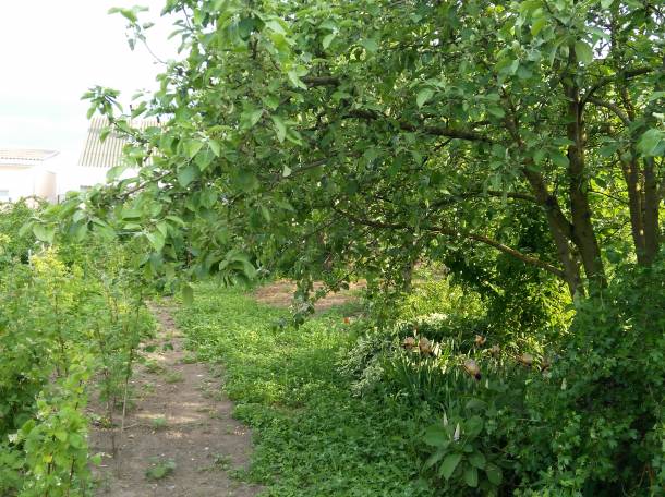 продам дом., фотография 3
