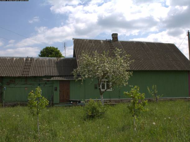 продам дом с участком, фотография 5