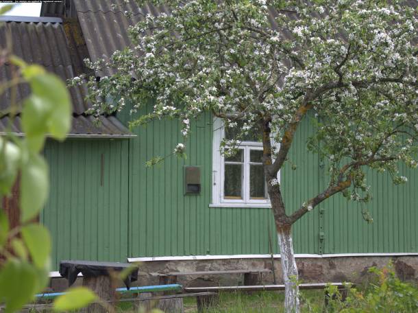 продам дом с участком, фотография 6