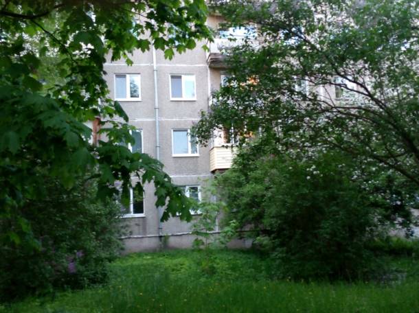 Двухкомнатная квартира по Калиновского 77, фотография 1
