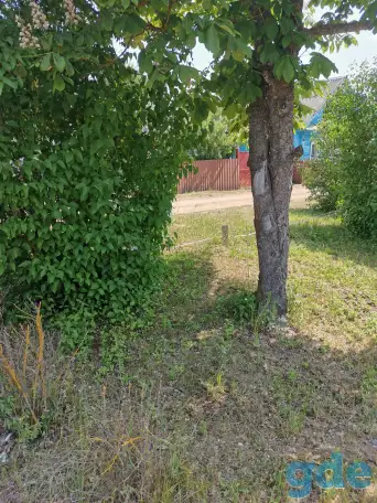 Участок со срубом дома в 5 мин от Червеня!, фотография 7