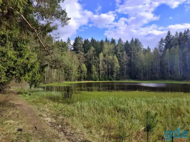 Сдаю дачуна лето недалеко от Раубич, район, фотография 5