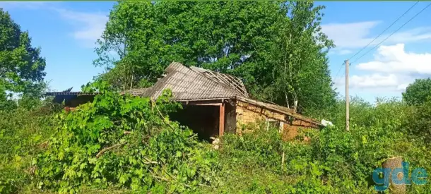 Земельный участок на территории Нац.парка, на берегу оз. Высокое!, фотография 4