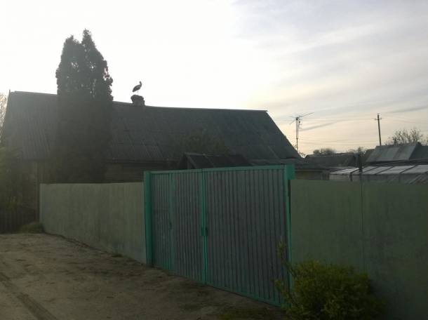 Продас дом в Турове с землей, Туров, фотография 1