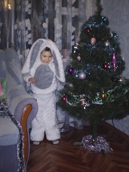 Новогодние костюмы (прокат),недорого, фотография 1