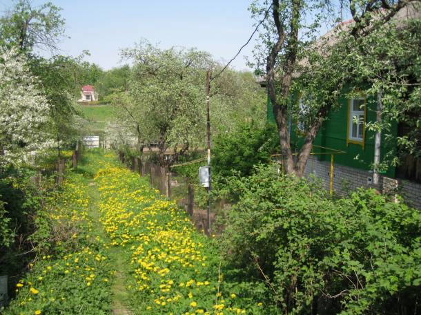 В  Орше на берегу Днепра в уютном уголке продаётся дом, фотография 2