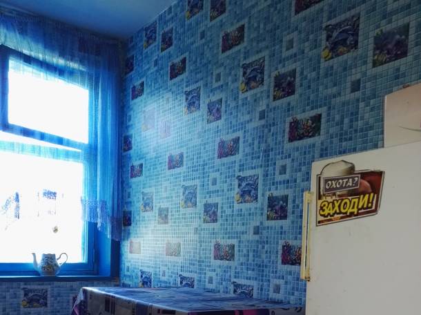 Отдых в деревне 8 км. от Браслава, фотография 5