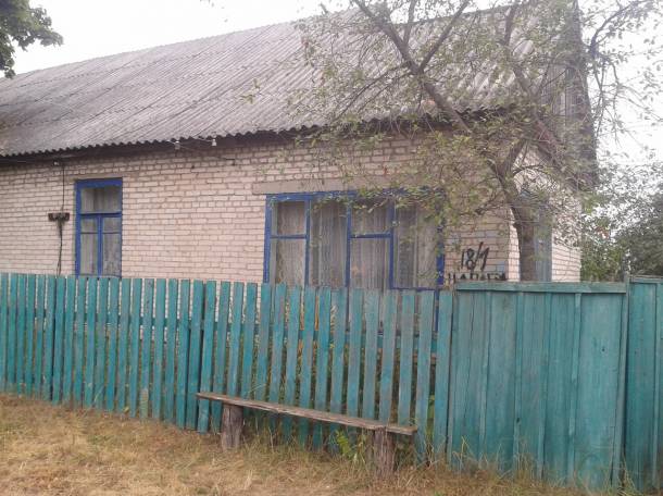 дом  д.Птичь Гомельская обл, фотография 11