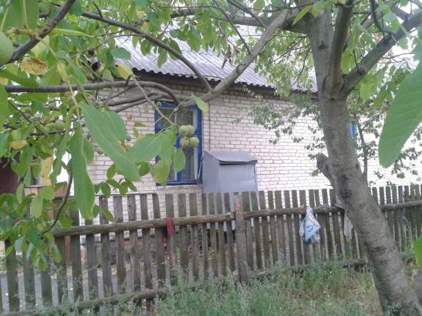 дом  д.Птичь Гомельская обл, фотография 12