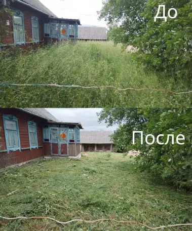 Покос травы/бурьяна/кустов Волковыск и пригород, фотография 7
