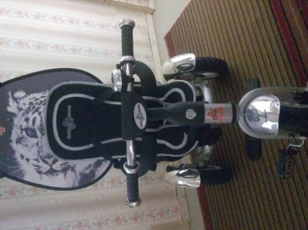 Велосипед детский Jaguar Lexus Trike Original Vip, фотография 2
