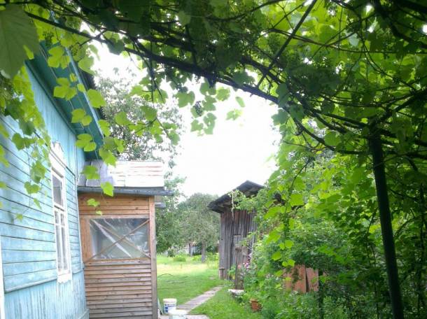 Продается дом, Могилёвская обл., р-н, Глуск, фотография 9