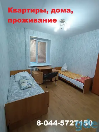 Аренда квартир,домов., фотография 3