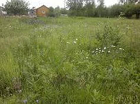 Продам участок земли 10 соток, фотография 2