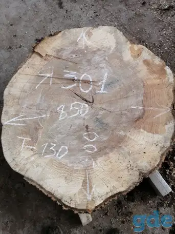 Слэбы от производителя из дуба, шпальтового бука, капового тополя, вербы, капового карагача, ясеня., фотография 12