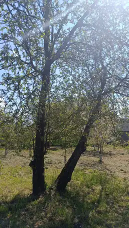 Продам дом с участком, д. мылые Завшицы, фотография 3