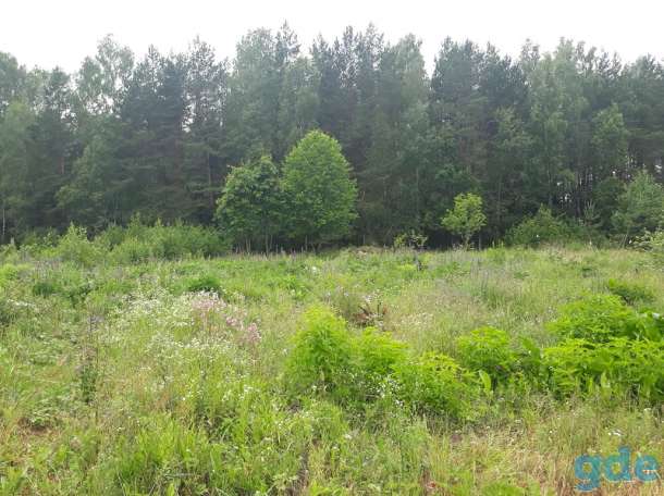 Продажа участка, 12 соток, Засулье, Минская область, фотография 5