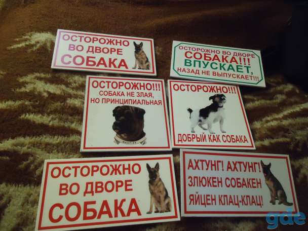 Таблички на пластике во дворе собака, фотография 3