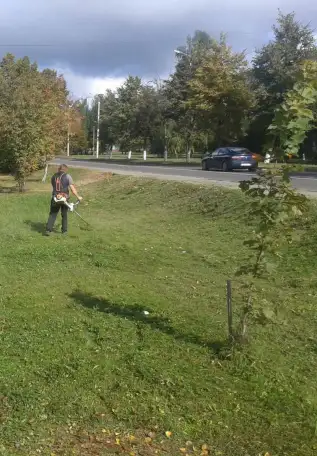 Покосы. Уборка листьев, снега. Обрезка кустов, фотография 1