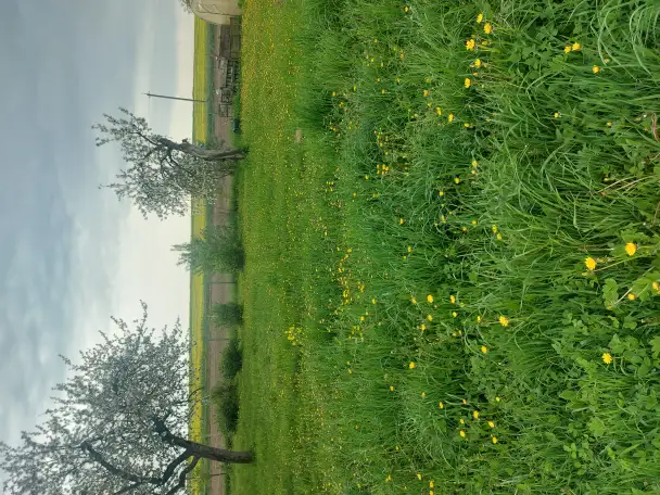 Продам участок с фундаментом, Жилевщина, фотография 1