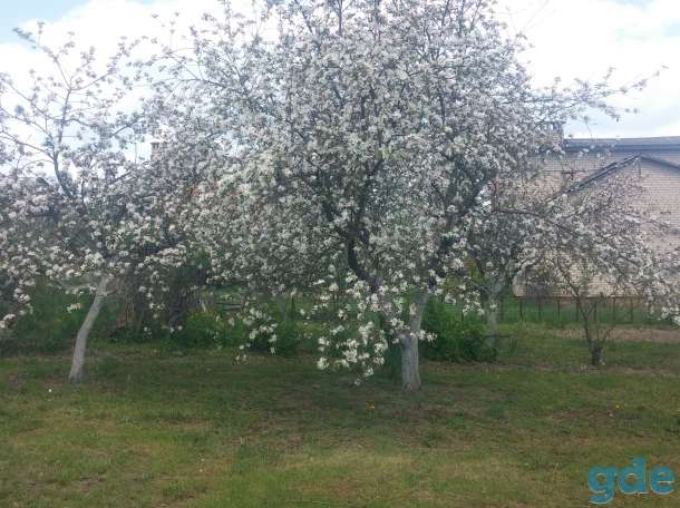 Продам дом в Новые Самотевичи, фотография 6