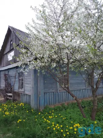 Продам жилой дом Чашникский район, д. Большие Смольянцы, фотография 5