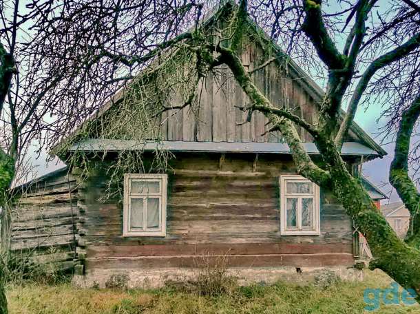 Дом возле пущи, фотография 2