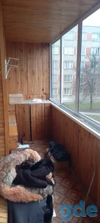Купить 3-комнатную квартиру Притыцкого 132 Барановичи, фотография 4