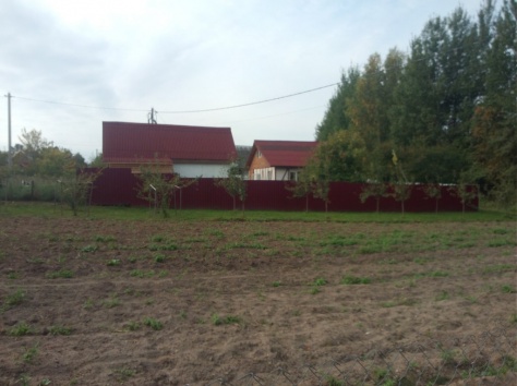 сдам на новый год, фотография 2