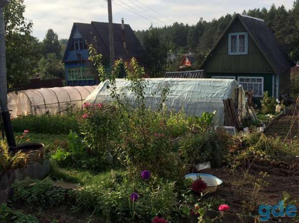 Дача, Гродненская область, Немейши, фотография 2