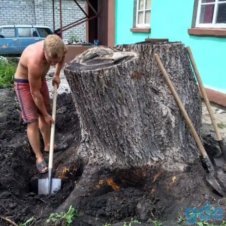 Работа на вашем участке, фотография 4