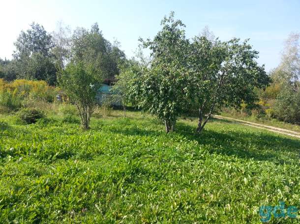 Продам участок 10 соток, 21 км от МКАД., с/т Лесное, фотография 8