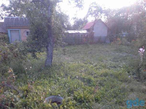 Продам дачу, садовое товарищество «Припять», д. Кнубово, фотография 2