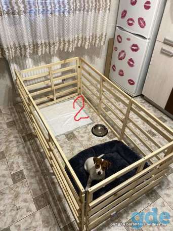Продам модульный, складной, загон / вольер для любимой собаки, фотография 2