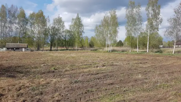 Продам сдам в аренду участок с домом в 14 км от Витебска, фотография 4