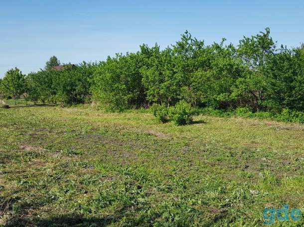 Продам участок в Фаниполе, фотография 4