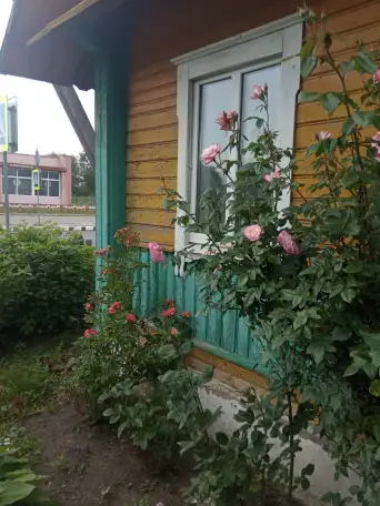 Срочно продам дом в Дятловском р-н д. Засетье, фотография 3