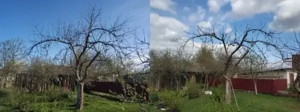 Садовник, уход за садом, фотография 3
